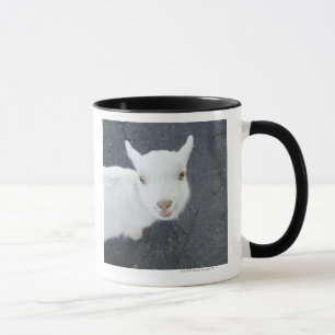 Young goat mug