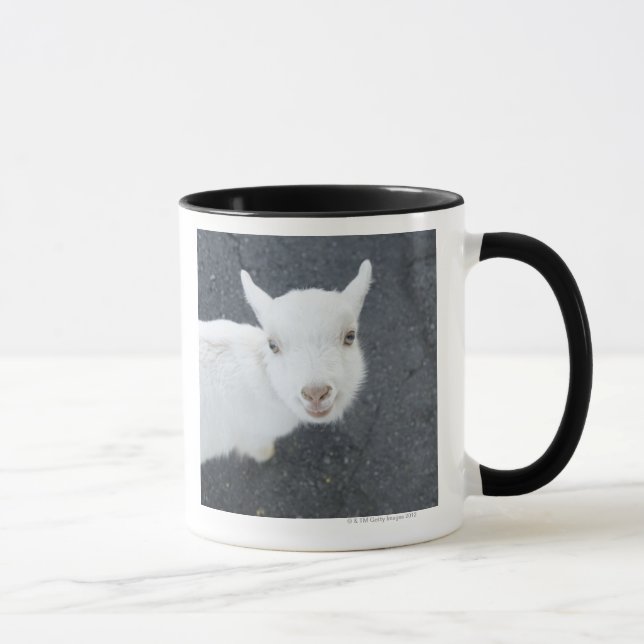 Young goat mug (Right)
