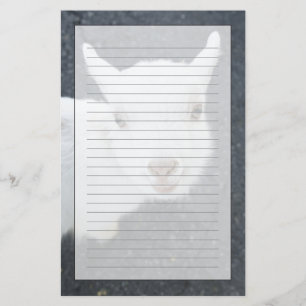 Young goat stationery