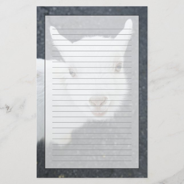 Young goat stationery (Front)