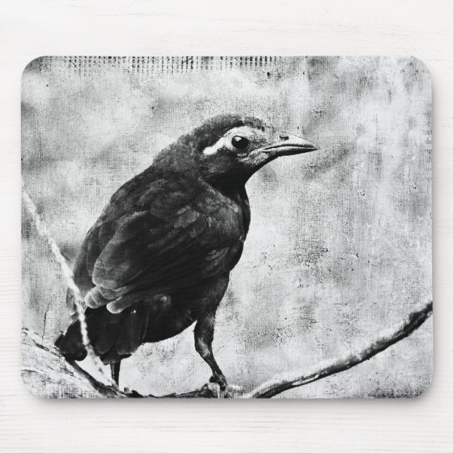 Young Grackle Mouse Mat (Front)