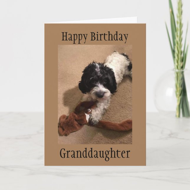‘YOUNG GRANDDAUGHTER’ HAPPY BIRTHDAY CARD (Front)