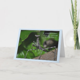 Grasshopper Birthday Gifts & Gift Ideas Decor PillowCase Macro Grasshopper Legs