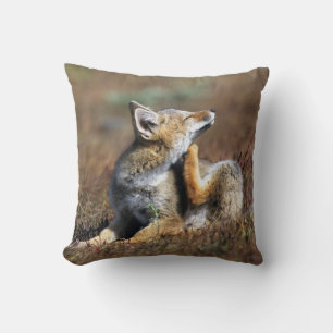 Young Grey Fox at Torres Del Paine National Park Cushion