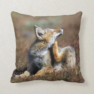 Young Grey Fox at Torres Del Paine National Park Cushion