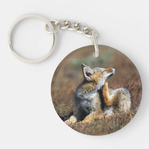 Young Grey Fox at Torres Del Paine National Park Key Ring