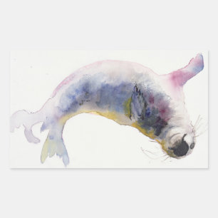 Young grey seal Gweek 2003