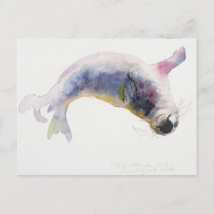Young grey seal Gweek 2003 Postcard