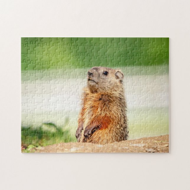 Young Groundhog Jigsaw Puzzle (Horizontal)