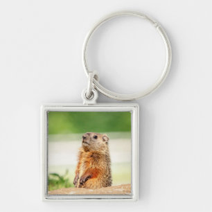 Young Groundhog Key Ring