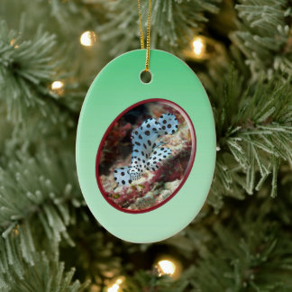 Young Grouper - Oval Photographic Design of Fish | Ceramic Tree Decoration