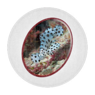 Young Grouper - Oval Photographic Design of Fish Cutting Board