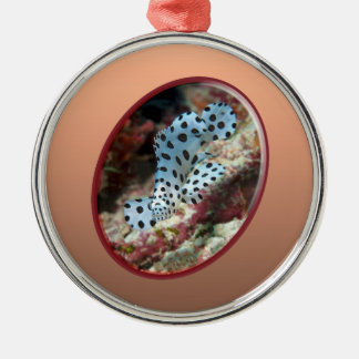 Young Grouper - Oval Photographic Design of Fish | Metal Tree Decoration