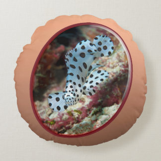Young Grouper - Oval Photographic Design of Fish | Round Cushion