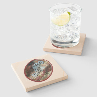 Young Grouper - Oval Photographic Design of Fish | Stone Coaster