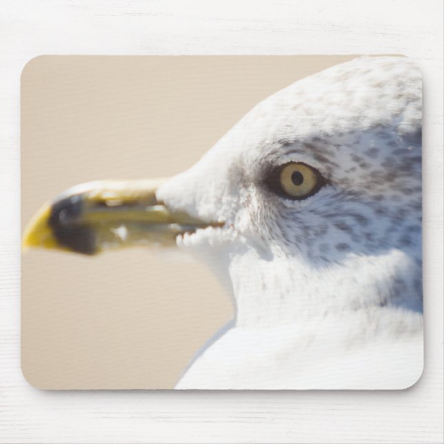 Young Gull Mouse Mat (Front)