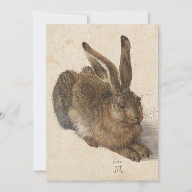 Young Hare | Albrecht Dürer (Front)