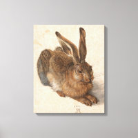 Young Hare | Albrecht Dürer