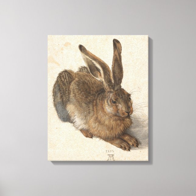 Young Hare | Albrecht Dürer Canvas Print (Front)