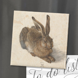 Young Hare   Albrecht Dürer Magnet