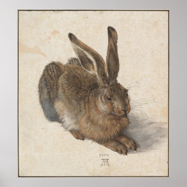 Young Hare by Albrecht Durer Poster (Front)