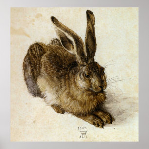 ‘Young Hare’ by Albrecht Dürer Poster