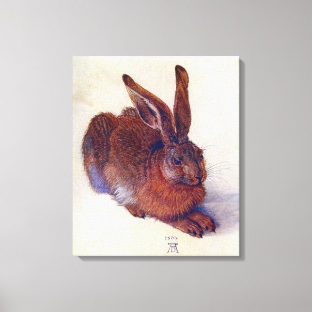 Young Hare by Albrecht Durer, Renaissance Fine Art Canvas Print (Front)