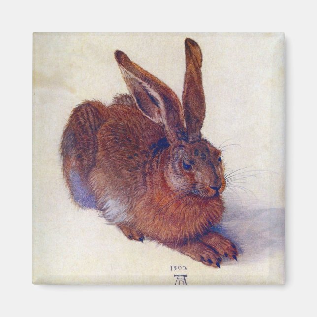 Young Hare by Albrecht Durer, Renaissance Fine Art Magnet (Front)