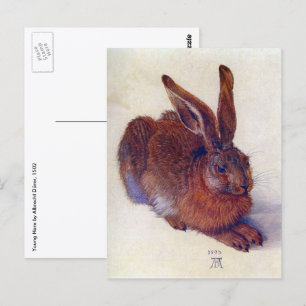 Young Hare by Albrecht Durer, Renaissance Fine Art Postcard