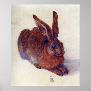Young Hare by Albrecht Durer, Renaissance Fine Art Poster