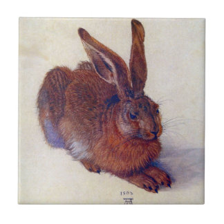 Young Hare by Albrecht Durer, Renaissance Fine Art Tile