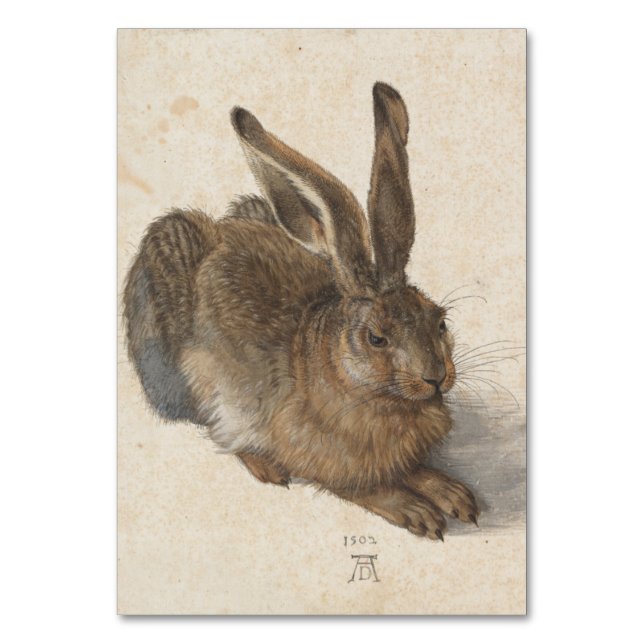 Young Hare by Albrecht Durer Table Number (Front)