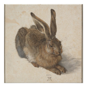 Young Hare (Durer 1502) Poster