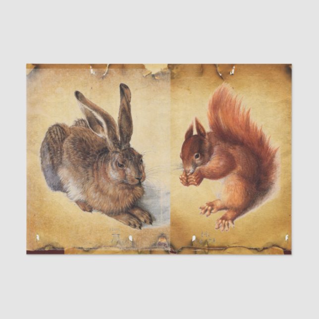 Young Hare (Rabbit ),Squirrel and Nuts Parchment Tissue Paper (Front)
