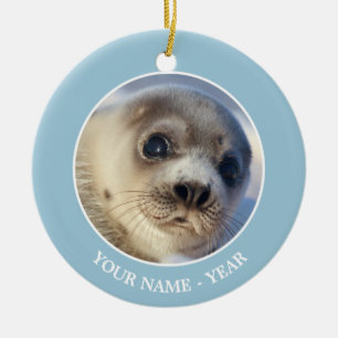 Young Harp Seal Ceramic Tree Decoration
