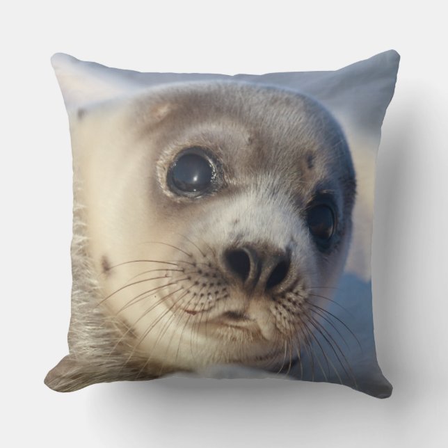 Young Harp Seal Cushion (Front)