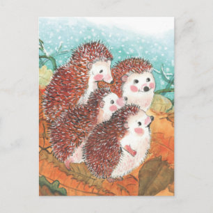 Young Hedgehogs Talking to Each Other  Postcard