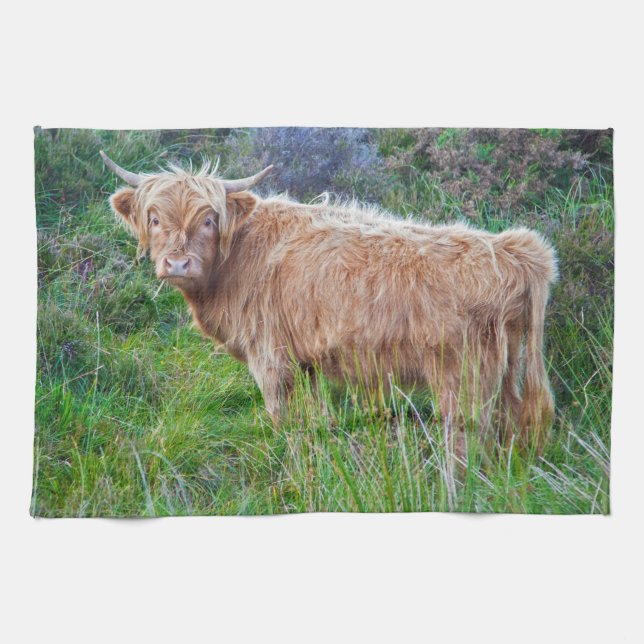 Young Highland Cow Kitchen Towel (Horizontal)
