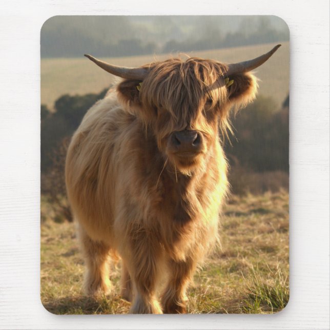 Young Highland Cow Mouse Mat (Front)