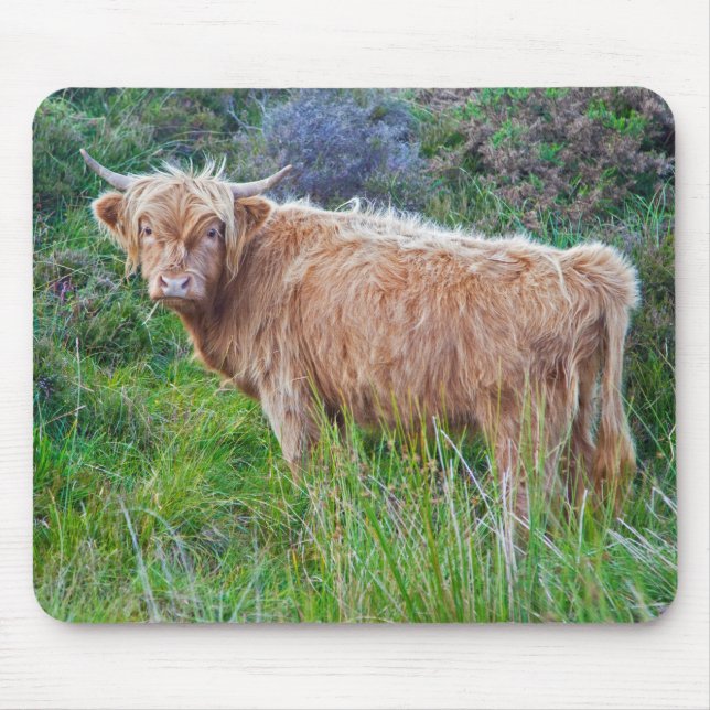 Young Highland Cow Mousemat (Front)
