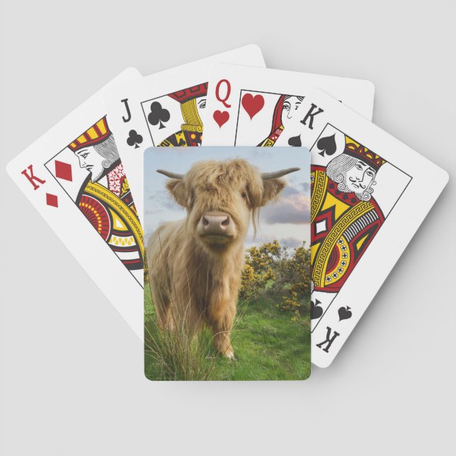 Young Highland Cow Playing Cards (Back)