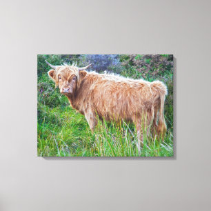 Young Highland Cow Wrapped Canvas