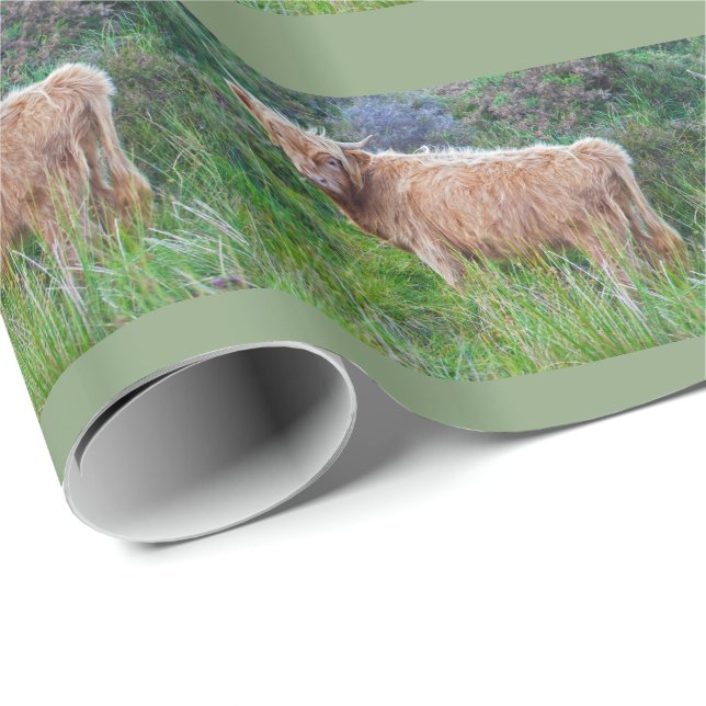 Young Highland Cow Wrapping Paper (Roll Corner)