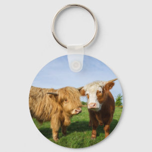 Young Highland Cows Key Ring