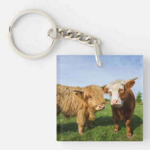 Young Highland Cows Key Ring