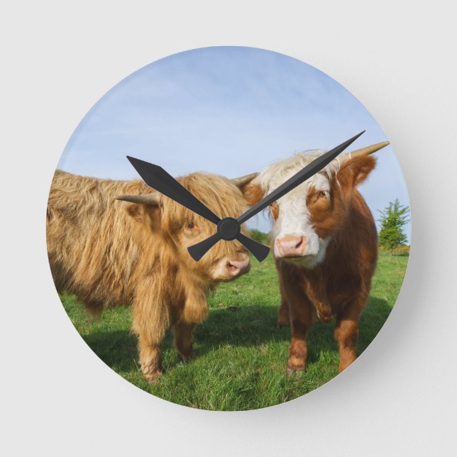 Young Highland Cows Round Clock (Front)