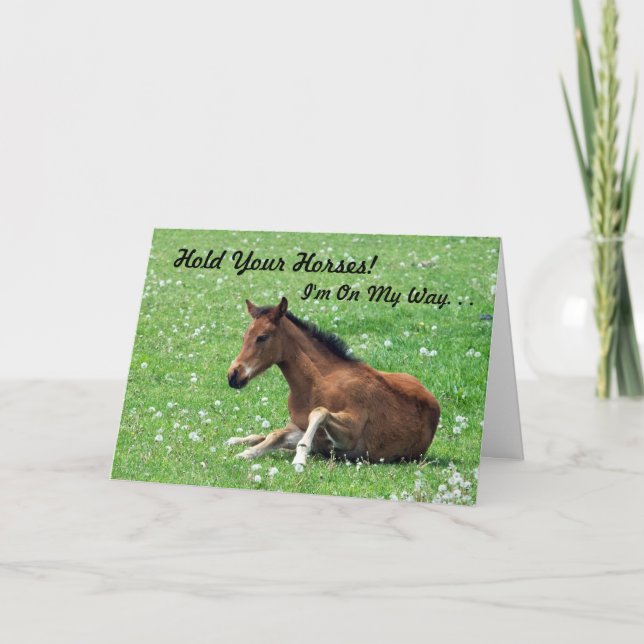 Young Horse Birthday Card (Front)