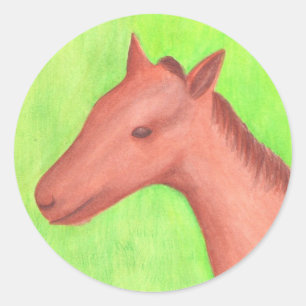 Young horse, pony, in watercolor Stickers