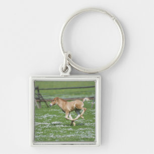 Young Horse Running Key Ring