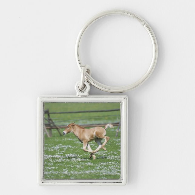Young Horse Running Key Ring (Front)